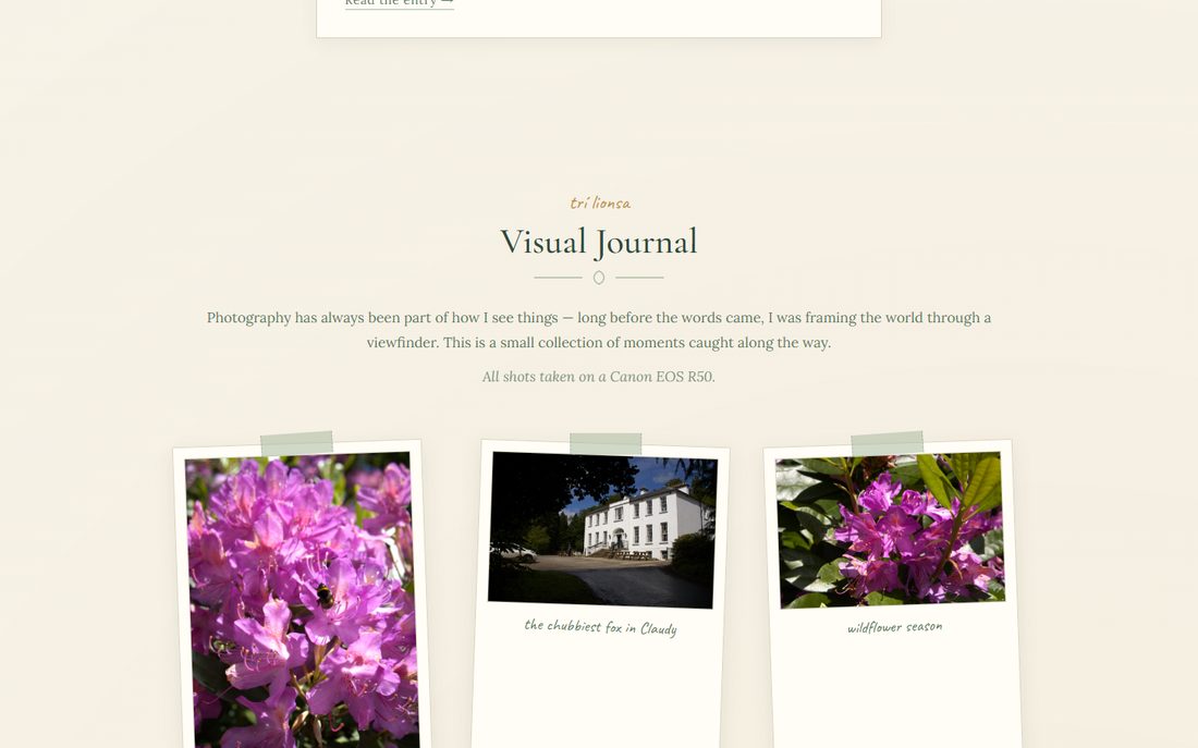 Dúirt Dara — Visual Journal section